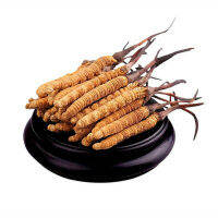 5g Organic Wild Cordyceps Sinensis Chinese Tibet Himalaya Winterworm Summerherb