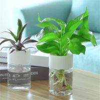 【YF】¤♧  Hydroponic Pots Planting Vase Plastic Transparent Desk Officer Flowerpot