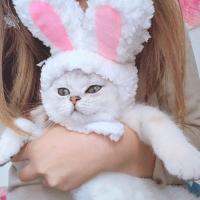 Cute Soft Rabbit Ears Cat Dog Caps White Pink Plush Hat Dogs Pet Puppy Cap For Small Cats Q1P4