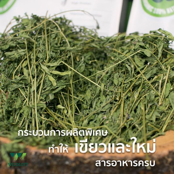 หญ้า-wildloft-premium-alfalfa-hay-หญ้ากระต่าย-ชินชิล่า-หนูแก๊สบี้-และสัตว์ฟันแทะทุกชนิด-คัดเกรดพรีเมียม-คุณภาพสูง-510-g