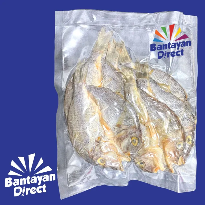 250g Katambak Dried Fish Bantayan Island Cebu Dried Fish Lazada PH