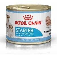 [ลด50%] [ส่งฟรี] ด่วน!! Royal Canin Starter Mousse Mother&amp;Babydog อาหารสำหรับแม่สุนัข ช่วงตั้งท้องถึงระยะให้นมลูกสุนัขพันธุ์เล็ก 195g 12กระป๋อง