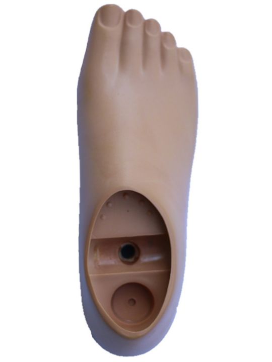 and-leg-prosthetic-foot-board-double-hole-single-movable-ankle-polyurethane-fork