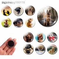 【YF】▨  Dog Fridge Notes German Shepherd Magnetic Stickers Refrigerator French Canine Message Magnets Akitas