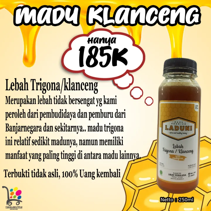 madu lebah hutan || madu klanceng asli || madu banyak khasiat || madu segar dan asli 250ml | Lazada Indonesia