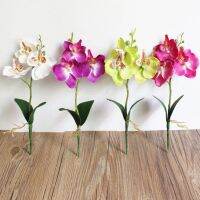 【CC】 1Pc Artificial Garden Arrangement Orchid