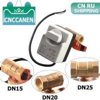 บอลวาล์วแบบมีมอเตอร์ DN25 DN20 AC220V วาล์วไฟฟ้าทองเหลือง2ทาง220V สายไฟสามเส้นแอคชูเอเตอร์ไฟฟ้าพร้อมสวิทซ์เชื่อมต่อขยายอุปกรณ์ RU