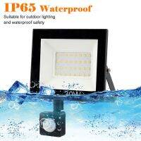 30W 50W 100W LED Spotlight Floodlight With Motion Sensor Waterproof IP65 220V Wall Outdoor Lighting Lamp Spotlight for Garden