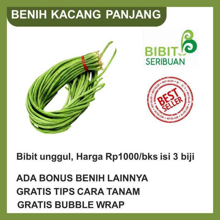 Bungkus Bibit Kacang Panjang Benih Sayuran Unggul Lazada Indonesia