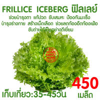 *ค่าส่งถูก* ผักสลัด เมล็ดผัก เมล็ดผักสลัด (ฟิลเลย์ 500 เมล็ด) เมล็ดพันธุ์ เมล็ดพันธุ์ผักสลัด iceberg งอกดี ปลูกผัก สลัด salad ไฮโดร hydroponic ผัก