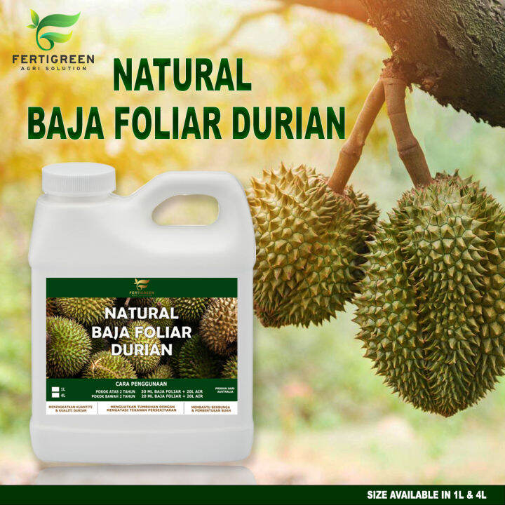 Natural Baja Foliar Durian / Baja Foliar / Baja Pokok Durian / Baja ...