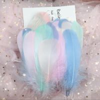 Feathers Colourful Feather 10-15cm Plumes for Wedding Decoration Jewelry Material Accessories 50pcs