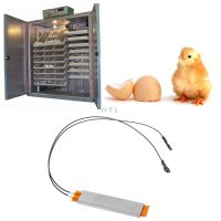 220V เครื่องทำความร้อน Incubator Heater Element Plate สำหรับ Egg Incubator Accessories