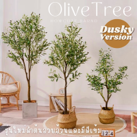 [PRE15วันค่ะ]??รุ่นใหม่ OLIVE TREE ต้นมะกอกโอลีฟปลอม ลำต้นอวบสีเข้ม งานคุณภาพดีเหมือนจริง มินิมอลมาก ช่วยเสริมความปัง