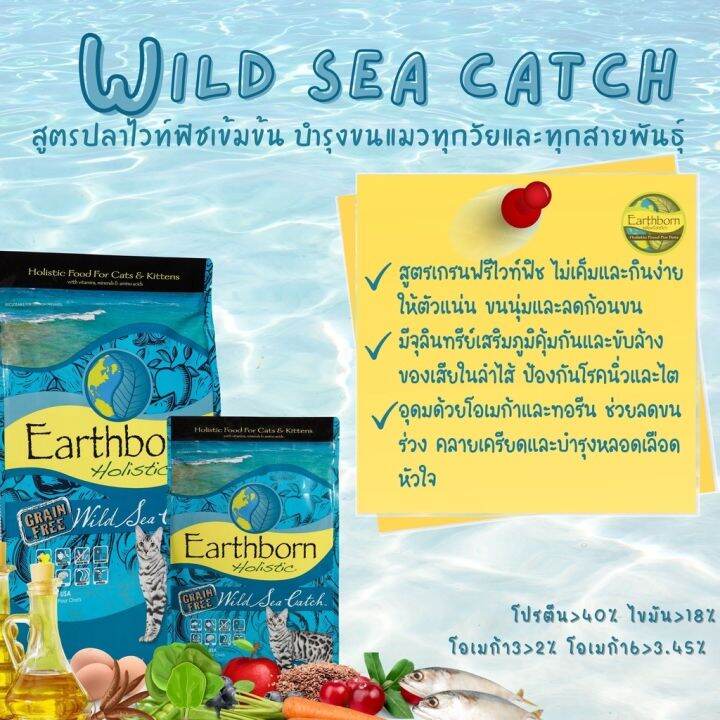 earthborn-for-cat-holistic-food-amp-gain-free-premium-อาหารแมว-2สูตร-2kg