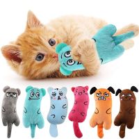 Cute Cat Toy Mini Teeth Grinding Toys Cat Funny Interactive Plush Thumb Pillow Cat Toy Animals Plush Chewing Toy Pet Accessories Toys