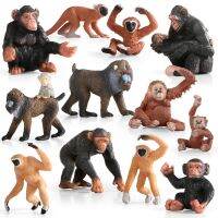 【CC】☾㍿☊  Animals Chimpanzee Mandrill Figurines Figures Educational Kids