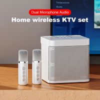 100W YS-203 Portable Professional Karaoke Dual Microphone Bluetooth Speaker Smart External Karaoke Device