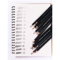 14 PCSSET 6H-12B Wooden Lead Pencils Set for Professional Drawing Sketching Journal Pencils School Art Supplies Stationery