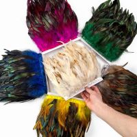 1 Rooster Tail Feathers Trims 10-15cm Feather for Crafts Clothing Decoration Plumes