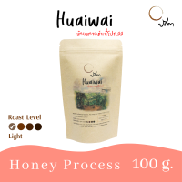 Honey Huai Wai ห้วยหวายฮันนี่โปรเสส (เมล็ดกาแฟคั่วอ่อน Single Origin) ;100g