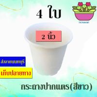 (4ใบ) papamami กระถางพลาสติก กระถางขาว ปากแตร 2นิ้ว กระดิ่ง กระถางปลูกต้นไม้ กระถางต้นไม้ ที่ปลูกต้นไม้ กระถางแค็คตัส กระถางปลูกตอ กระถางกร