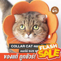 ?ถูกสุด! พร้อมส่ง? Collar Cat Size MINI คอลล่าแมว คอลล่าดอกไม้ ปลอกคอกันเลีย คอลล่ากันเลีย