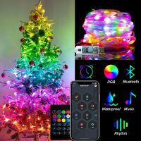 RGBIC Indoor String Lights for Outdoor Corridor Decoration USB MultiColor Garland with App