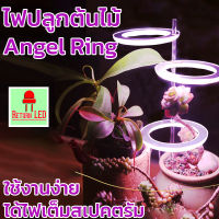 ReturnLED ?ส่งเร็ว สินค้าอยู่ไทย ?ไฟปลูกผัก หลอดไฟปลูกต้นไม้ Angel Ring  ไฟปลูกพืช ไลทอป แคคตัส ไฟเลี้ยงต้นไม้ LED Grow light