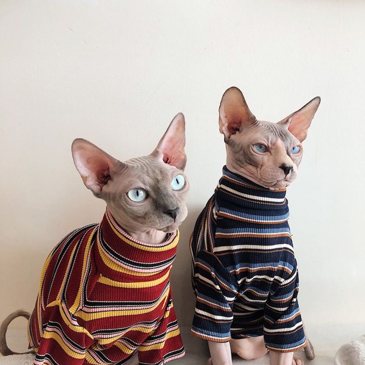 เสื้อผ้าแมวสำหรับเสื้อผ้าแมวแมวไม่มีขนสฟิงซ์เสื้อผ้าลายทาง-baju-rajutan-อบอุ่นชุดแมวสัตว์เลี้ยงซัพพลายเออร์-xs-ถึง-xl