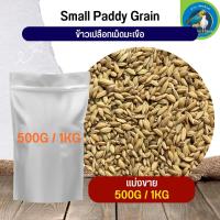 สุดยอด ข้าวเปลือกมะเขือ Small Paddy Grian อาหารนก กระต่าย หนู กระต่าย กระรอก ชูก้า และสัตว์ฟันแทะ (แบ่งขาย 500G / 1KG)