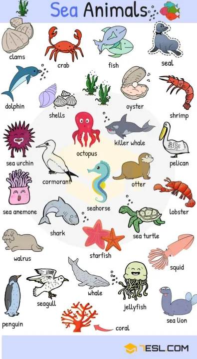 Educational Laminated Chart for Kids | SEA ANIMALS | Lazada PH