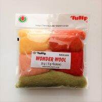 Tulip 5 colours of Wonder wool / เซ็ตใยขนแกะสำหรับงาน needle felting ขนาด 25 กรัม 5 สี x 5 กรัม แบรนด์ Tulip จากประเทศญี่ปุ่น (TMix103)