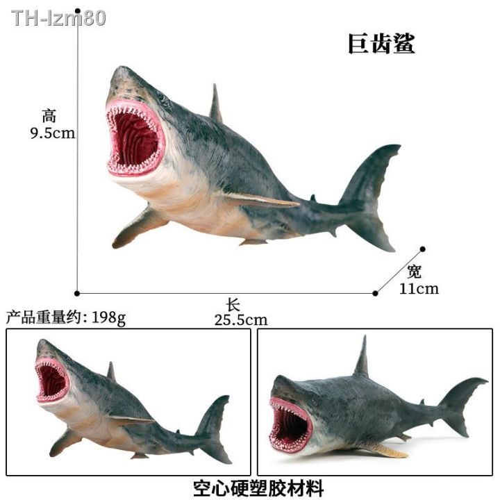 ของขวัญ-แบบจำลองชีวิตทางทะเล-ฉลามขาวผู้ยิ่งใหญ่-ฉลาม-megalodon-ฉลามบาสกิ้ง-ฉลามเสือ-ฉลามวาฬสีน้ำเงิน-ฉลามวาฬ-ของเล่นเด็ก-ตกแต่ง