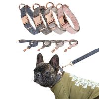 Nylon Dog Collar Pet Neck Strap Safety Alloy Buckle Dog Chain and Training Rope Pets Dogs for Perros Small Medium Large Dogs