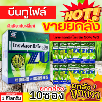 ? ?? สินค้ายกกล่อง ?? บีนทูไฟล์ (ไตรฟลอกซีสโตรบิน) ขนาด 100กรัมx10ซอง ป้องกันเชื้อราเมล็ดด่าง แอนแทรคโนส กาบใบแห้ง