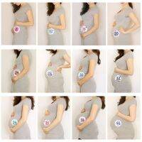 14 PcsSet Month Sticker Pregnant Women Photography Monthly Adhesive Stickers Landmark Floral Coming Soon Belly Clothing Decor