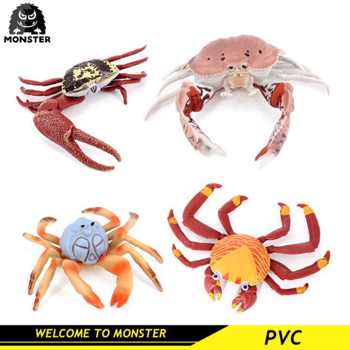 Children's Cognitive Simulation Marine Animal Model Crab Fiddler Crab ...