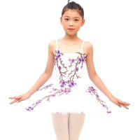 Ballet Dress Tutu Skirts For Girls Dance Dress Cute Girls Performance Costumes High Quality