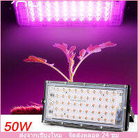 LED Grow Light Phyto[เชียงใหม่ จัดส่ง 24 ชม.]โคมไฟ AC 220V 50W LED Full Spectrum Floodlight ในร่มกลางแจ้งเรือนกระจกพืช Hydroponic Spotlight ไฟปลุกต้นไม้ ไฟช่วยต้นไม้ตัวเร็ว มีสวิตช์ปิดเปิด สายไฟยาว1.5โมตร