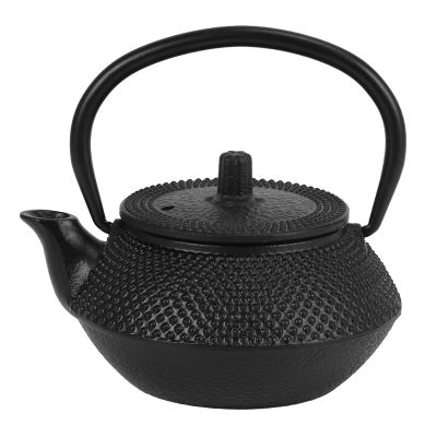 Style Cast Iron Kettle Teapot Comes With Strainer Tea Pot 300ml (Black)
