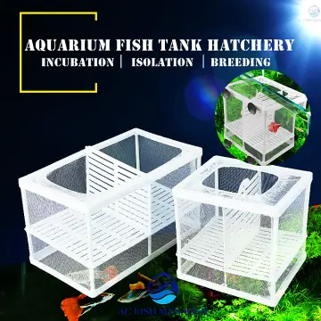 Buy Small Fish Breeding Box online