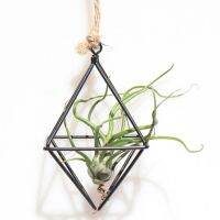 Freestanding Hanging Planters Geometric Swing Wrought Iron Tillandsia Air Plants Holder Triangular Shaped Metal Rack Black Bag Accessories