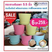 กระถางดินเผา 5.5 นิ้ว ทาสีโทนพาสเทล คละสี พร้อมจานรอง 6 ชุด 259.-