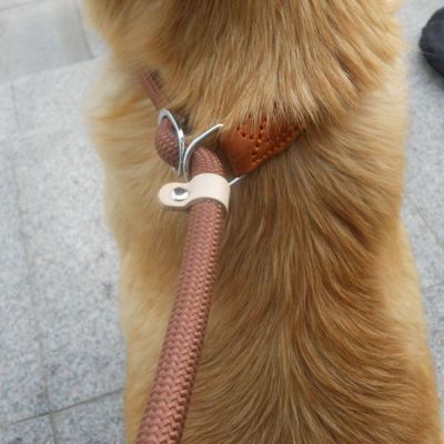 ✒☾♞ เชือก P โซ่สุนัขป้องกันการจลาจล โซ่วิ่งแบบยาวและหนาขึ้น การฝึกสุนัขระดับการแข่งขัน เข็มขัดลากจูงสุนัขขนาดเล็ก ขนาดกลาง และขนาดใหญ่