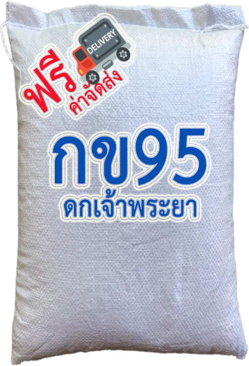 ส่งฟรี-กข95-ดกเจ้าพระยา