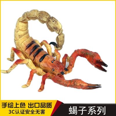 Growth cycle simulation scorpion toys gift plastic solid wild animal model of childrens cognitive science and education