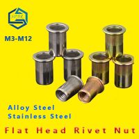 Rivet Nut [M3 M4 M5 M6 M8 M10 M12] Knurled Nuts Rivnut Flat Head Threaded Rivet Insert Nutsert Cap pull cap flat head Rivet