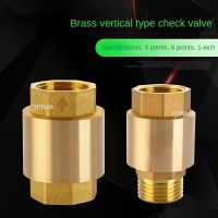 DN15/DN20/DN25 Water Non-return Controller Threaded Inline Check Valve Copper One-way Connector Plumbing Fitting Accessory Bar  Wine Tools