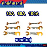 ฟิวส์คัทเอาท เลือกได้ ฟิวส์คัทเอาท์ ฟิวส์ก้ามปู 30A,60A,100A ทองแดงแท้ ขายเป็นคู่